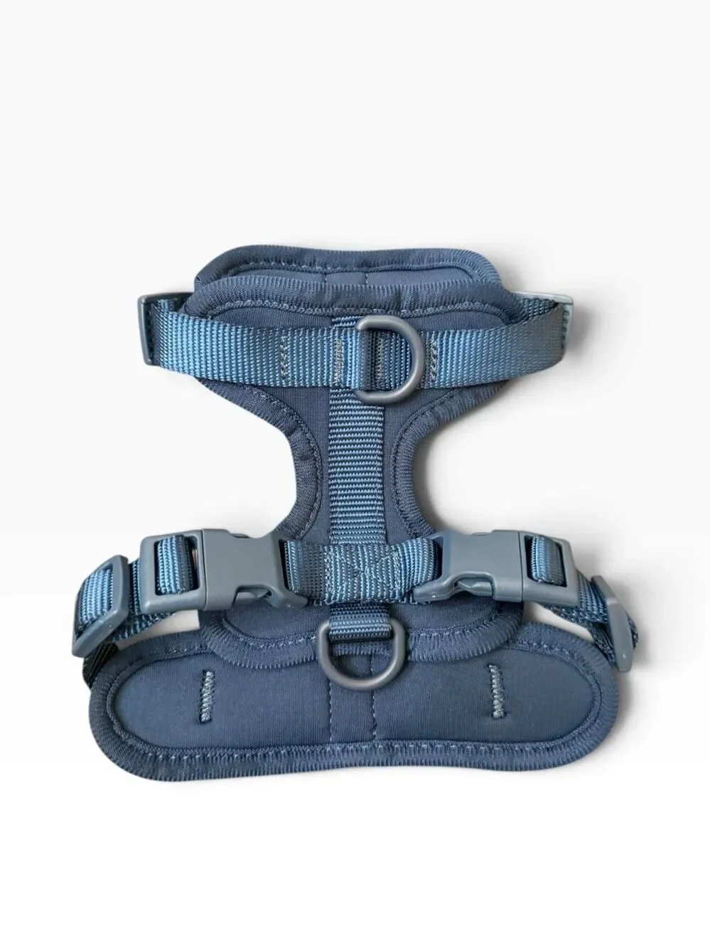 Doxie Puppies &Small Dog Walk Set Midnight Blue XXS